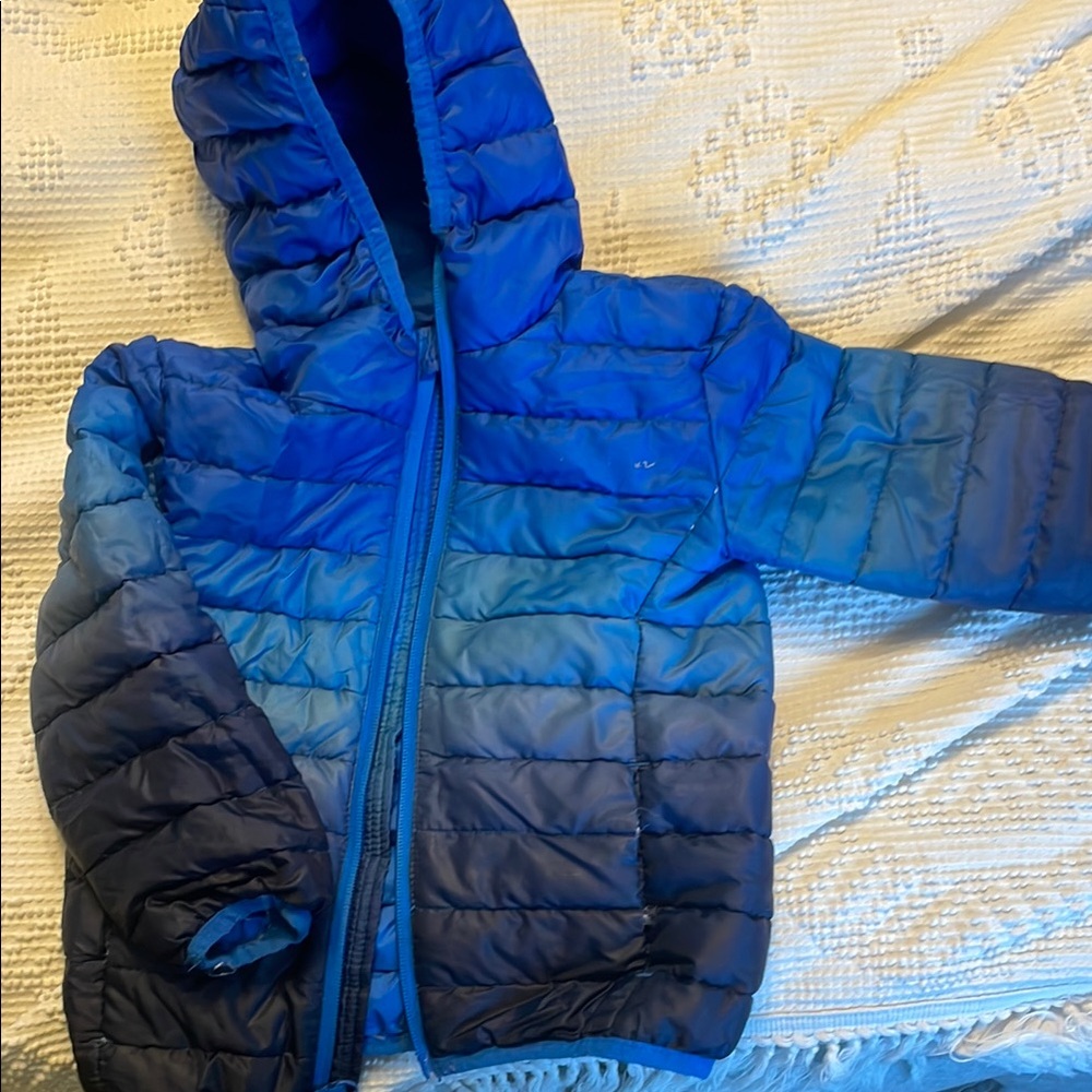 Toddler Blue Hooded Puffer Jacket